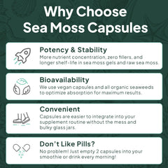 Close-up of sea moss highlighting mineral-rich composition