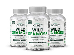 Organics Ocean Sea Moss Capsules bottle front shows three-pack for energy support.