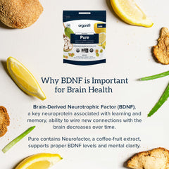Brain health graphic illustrating cognitive boost from Organifi Pure