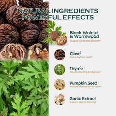 Pumpkin seeds and garlic extract illustrating gut health ingredients