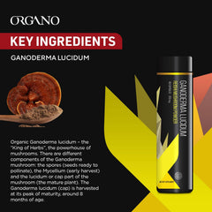 ORGANO Ganoderma Lucidum bottle and label close-up