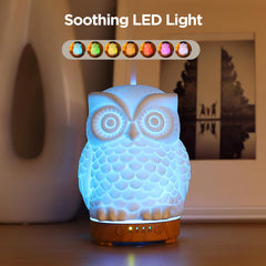 Diffuser with color changing LED night light