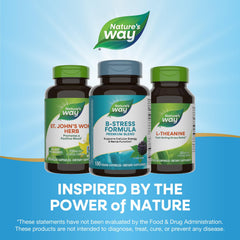Packaging may vary for Nature's Way Vitamin C with Rose Hips 2-pack
