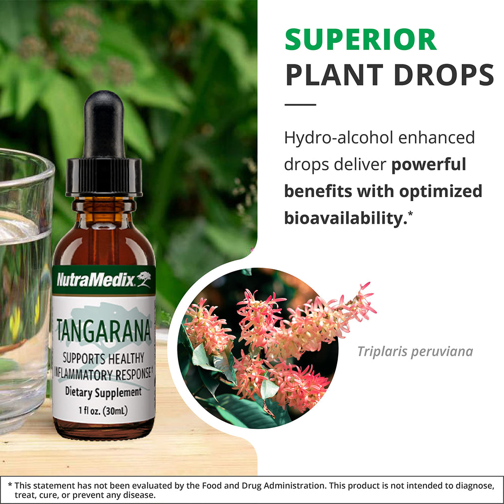 Palo Santo extract used in Tangarana