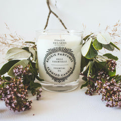 Close-up of Verbena candle wax