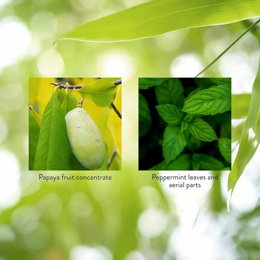 Papain-based digestive support from Nature's Sunshine