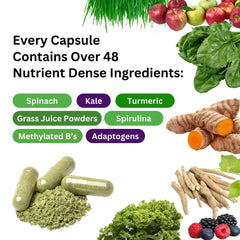 Graphic illustrating 48 organic superfoods in Earth's Blend