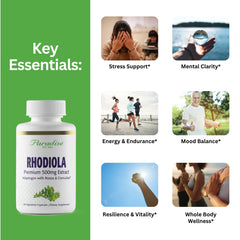 Close-up of Paradise Herbs Rhodiola Extract 500mg label