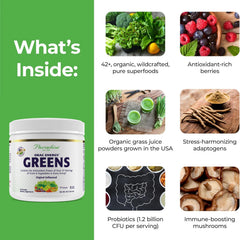 Spirulina, chlorella, spinach, kale and berry blend ingredients