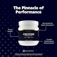 Close-up of micronized creatine powder texture