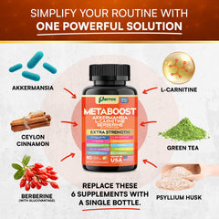 Probiotic strains included in Parrox GLP-1 Booster