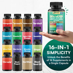 Collage of sea moss, black seed oil, ashwagandha and other ingredients