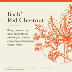 Illustration highlighting peace of mind benefits of Red Chestnut