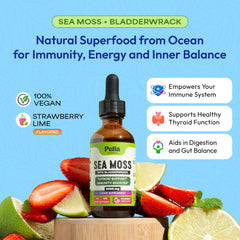 Pella Sea Moss Drops bottle with label