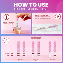 Pelvana test results showing two lines