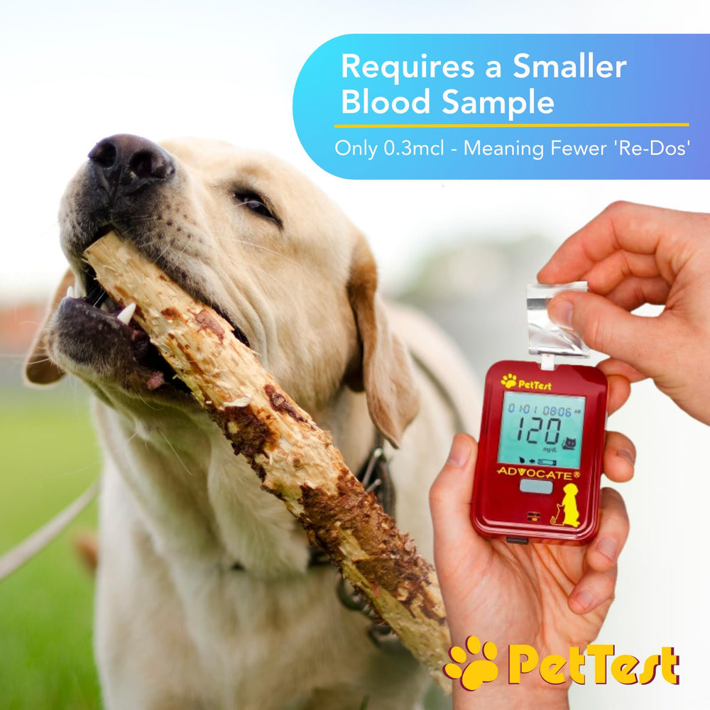 Advocate PetTest strip close-up ready for small blood sample