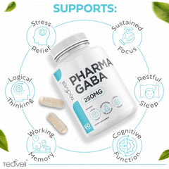 Natural GABA produced by lactobacillus fermentation