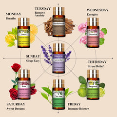 PHATOIL 15-piece essential oils set with bottles and two glass droppers