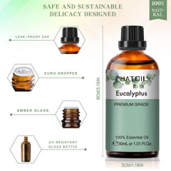 DIY projects with eucalyptus oil for soaps, candles and bath bombs