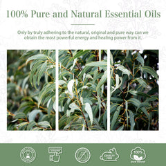 Home aromatherapy setup with essential oil bottle