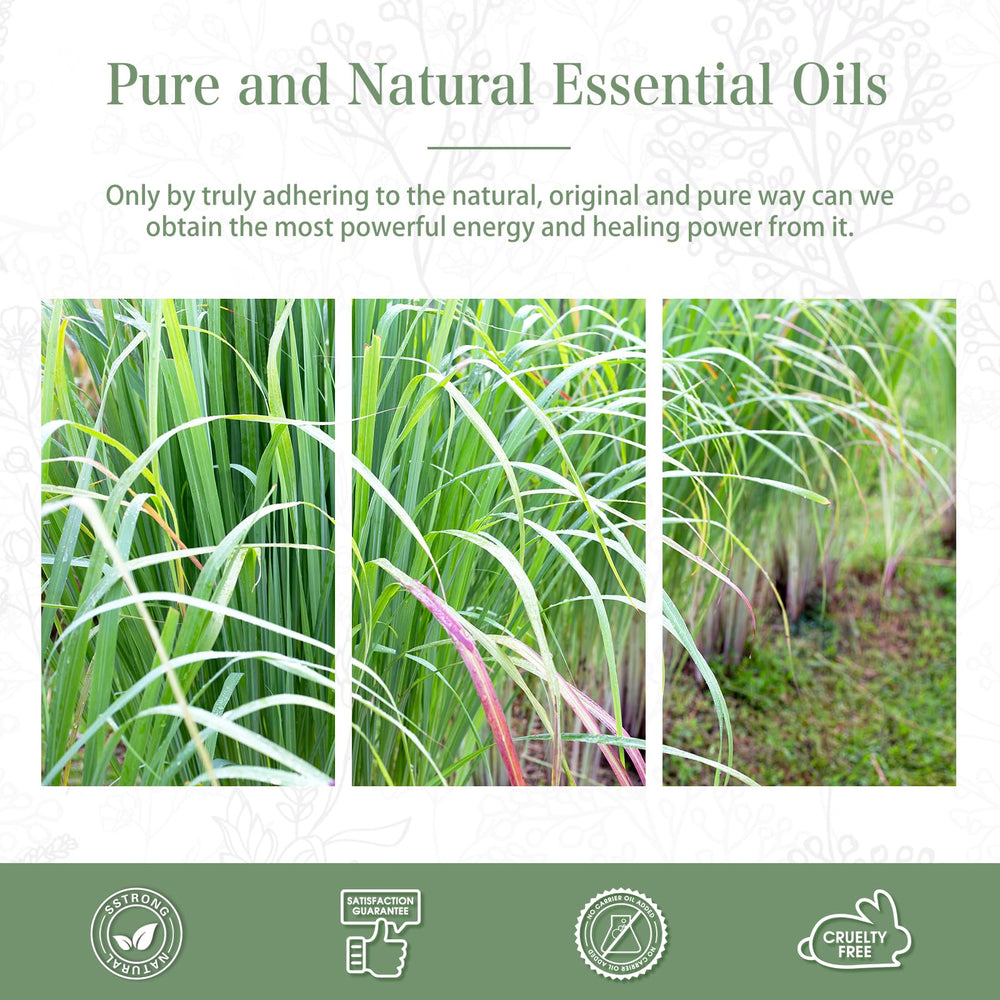 Glass dropper included with PHATOIL lemongrass essential oil
