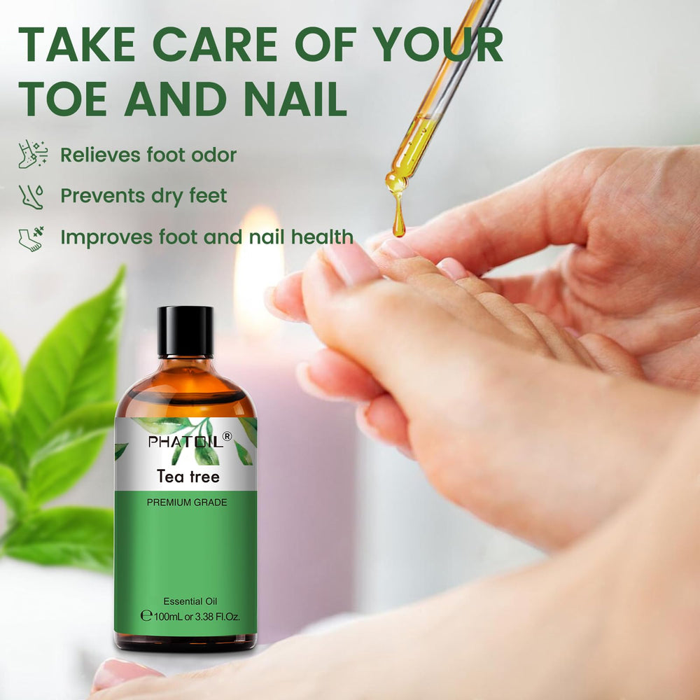 Tea tree essential oil applied to hair and scalp with carrier oil