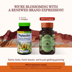 Phytocillin 60-count bottle label close-up