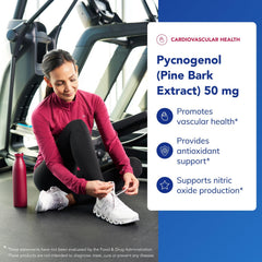 Pine bark extract ingredients overview
