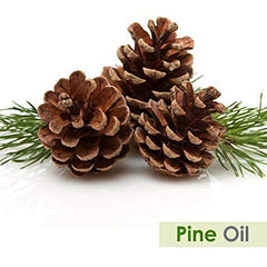 Aromatherapy setup with pine essential oil diffuser