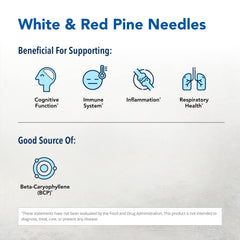 Close-up of red and white pine needles