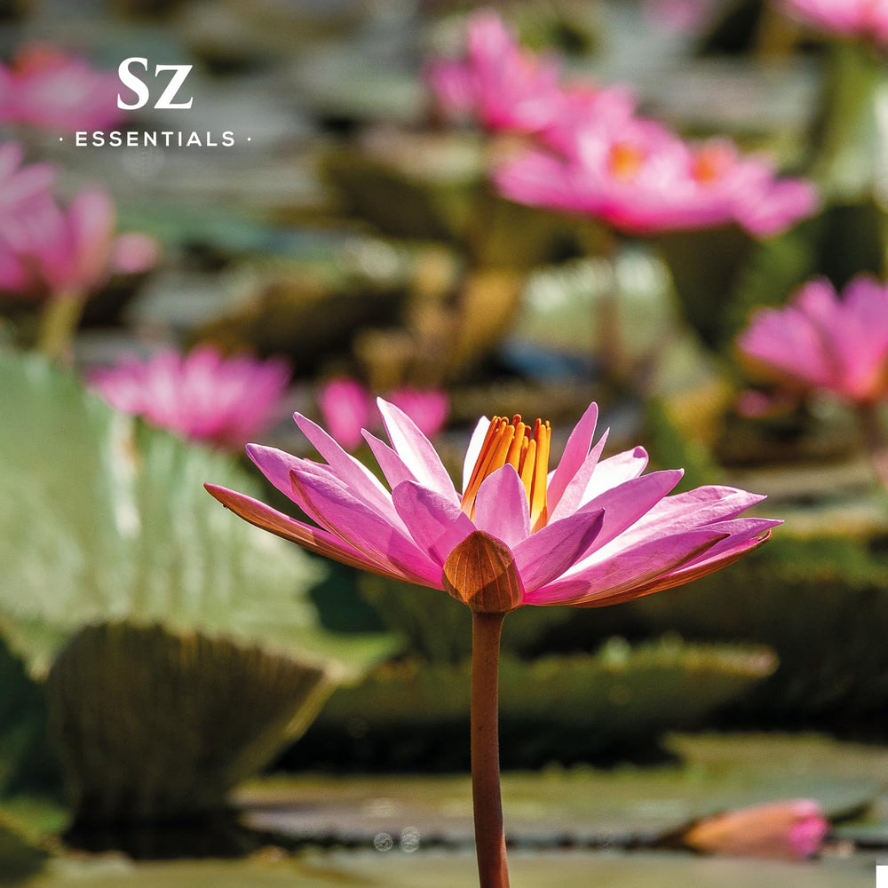 Therapeutic grade and vegan logo with Pink Lotus