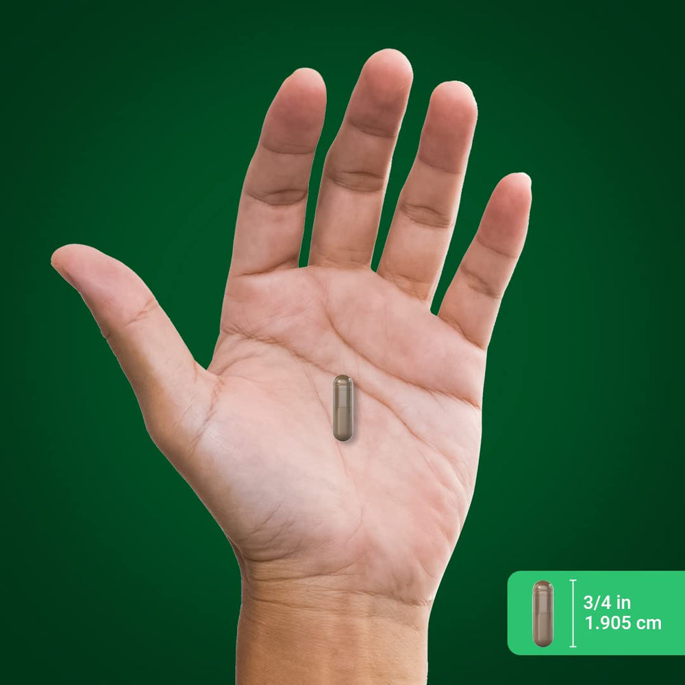 Herbal supplement packaging for Damiana Leaf Capsules