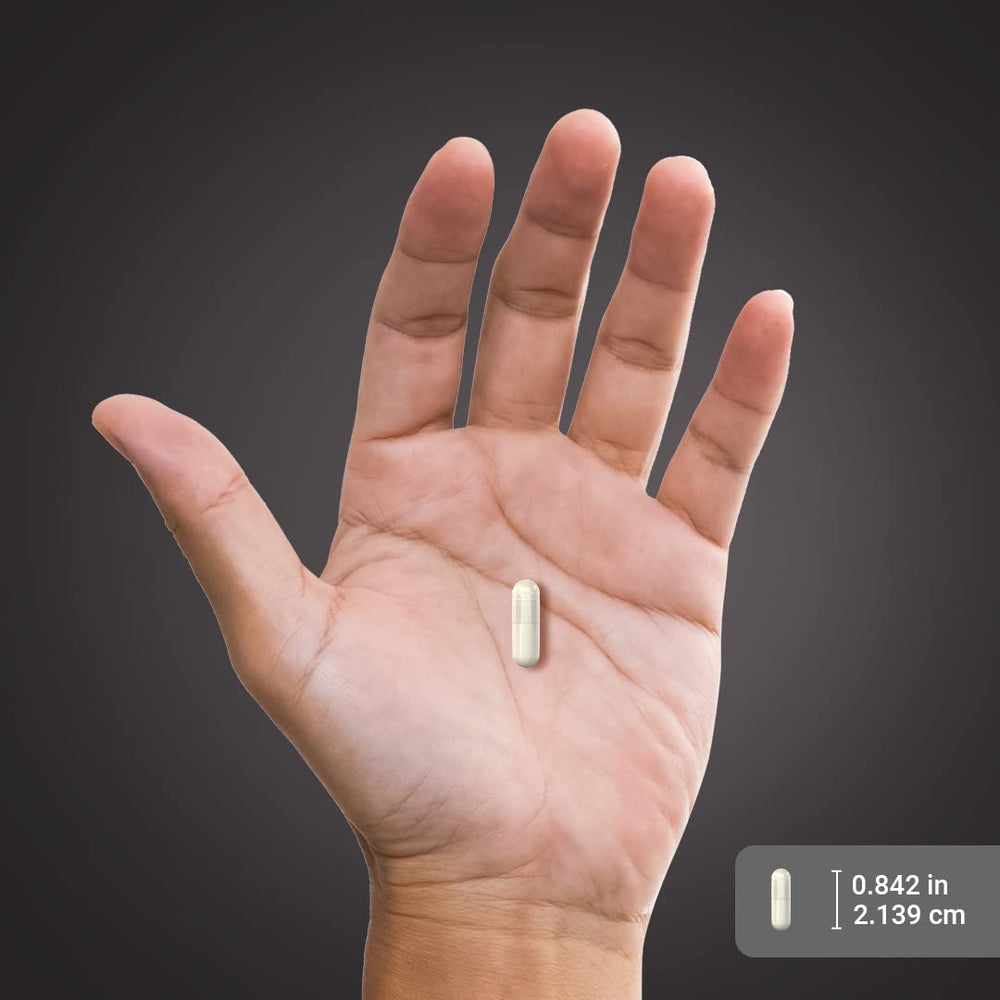 Bottle beside common objects showing Piping Rock bottle size and value