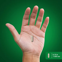 Piping Rock bottle on kitchen counter, lifestyle use and daily routine benefit