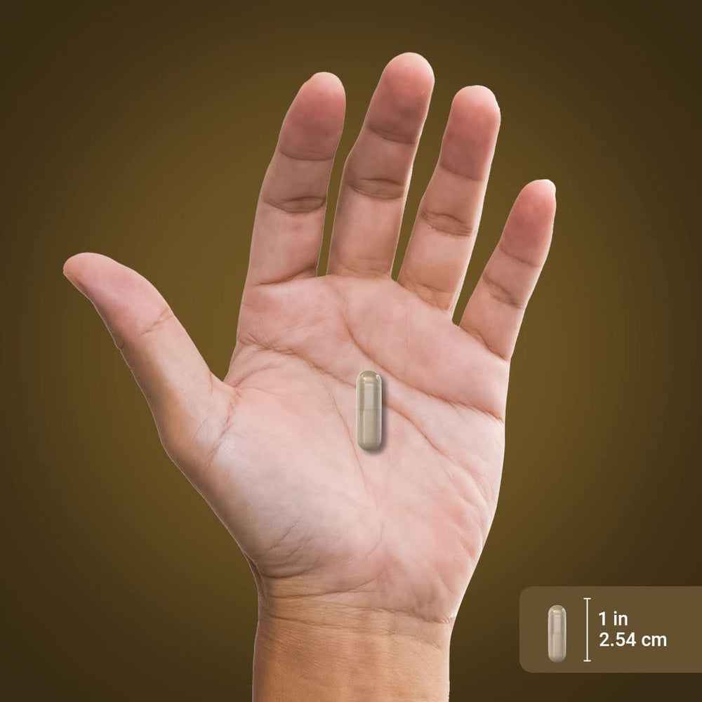 Laboratory tested Lions Mane supplement product testing
