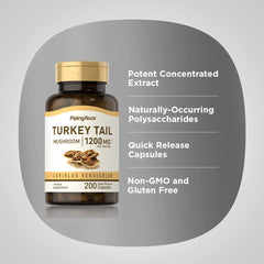 Macro shot of Piping Rock turkey tail extract powder texture showing concentrated polysaccharide benefit