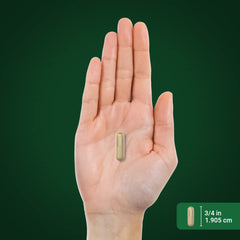 Piping Rock supplement bottle on kitchen counter suggesting daily use