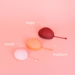 Pixie Disc storage bag keeps the product portable and clean.