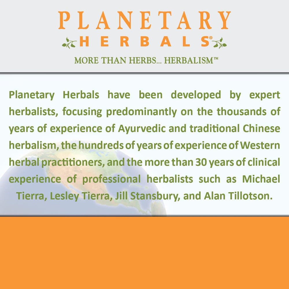 Back view of Planetary Herbals Mullein Lung Complex bottle showing manufacturing information