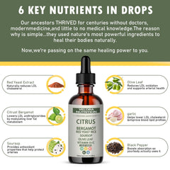 Plant-based vegan non-GMO dietary supplement badge