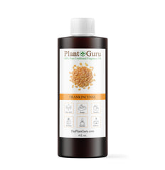 Plant Guru Frankincense Fragrance Oil bottle showcases resin scent ideal for diffusers.