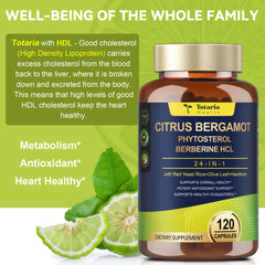 Plant sterols and stanols with bergamot supplement