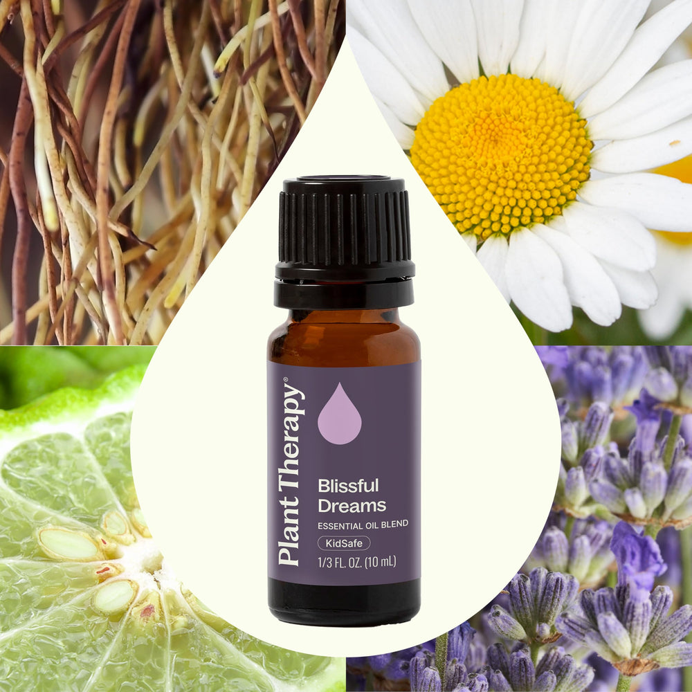 Lavender, Roman Chamomile, Bergamot, and Vetiver oils visual