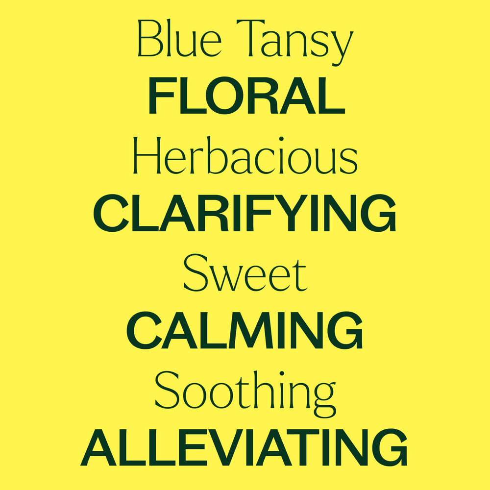 Blue Tansy oil being applied for aromatherapy