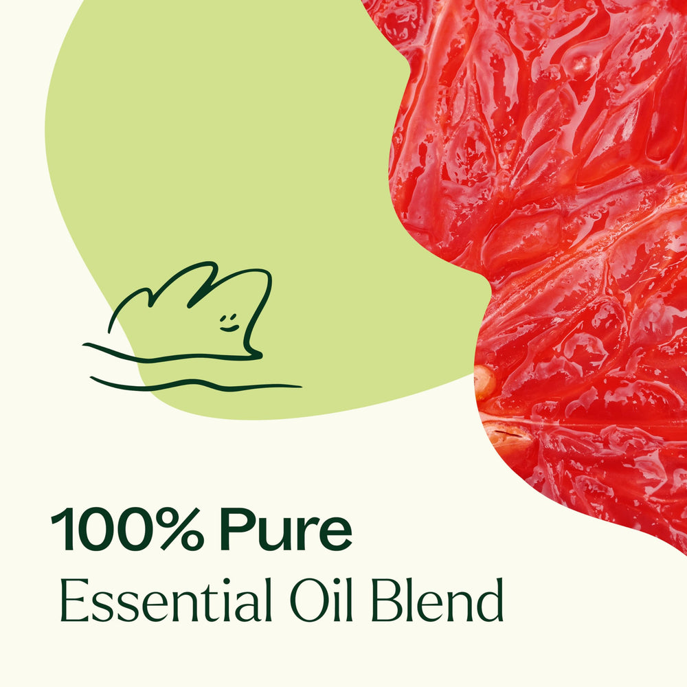 Plant Therapy Brain Aid packaging and branding