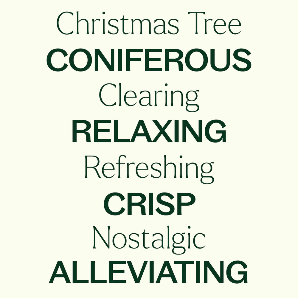 Fresh-cut fir greenery and pine cones with holiday decor