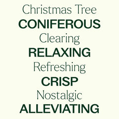 Fresh-cut fir greenery and pine cones with holiday decor