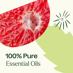 Plant Therapy Clarity diffuser necklace setup offering ambient focus support.