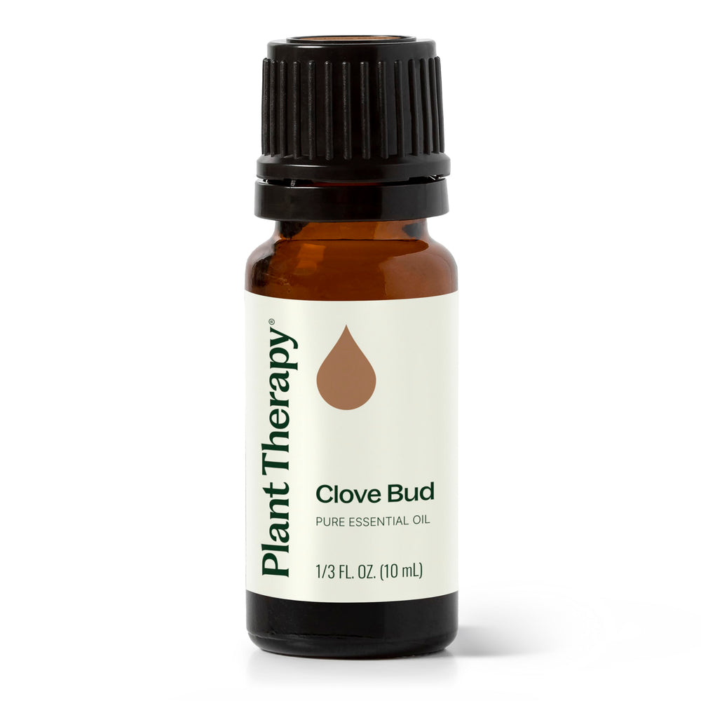 Bottle of Plant Therapy Clove Bud Essential Oil 10 mL on wooden surface