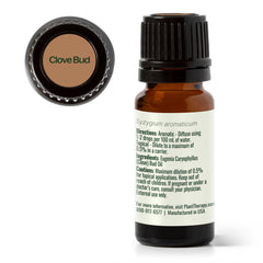 Cozy winter scene featuring Plant Therapy Clove Bud Essential Oil